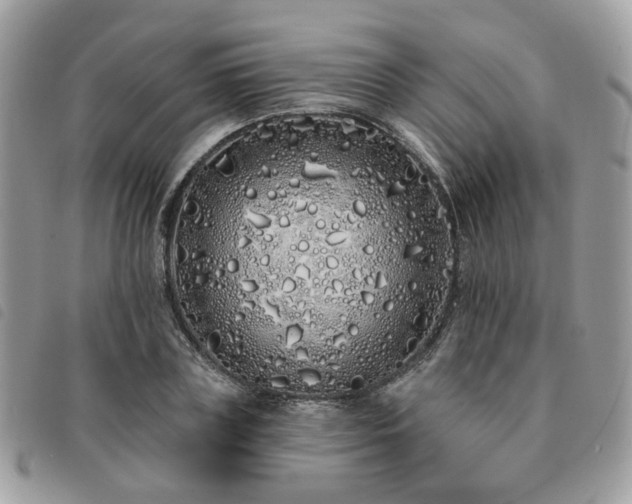 X0000091310835200708171414