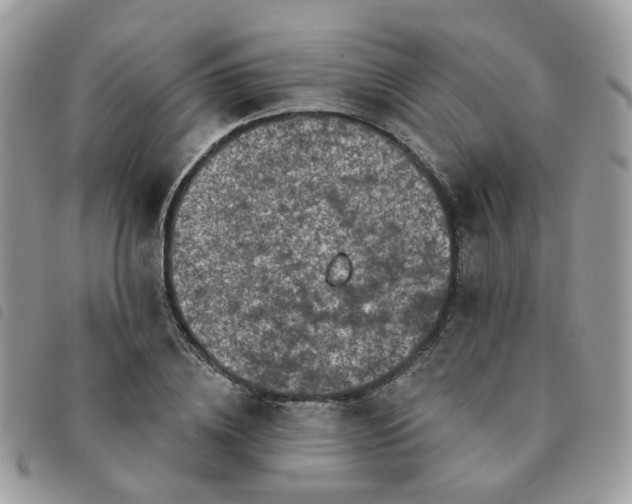 X0000091310836200708171414