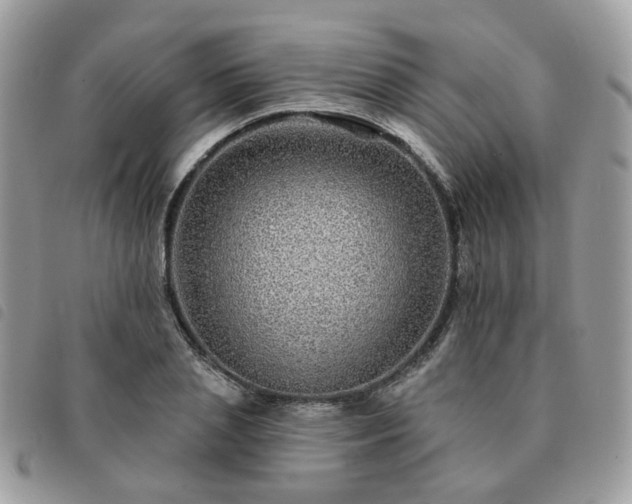 X0000091310837200708171414