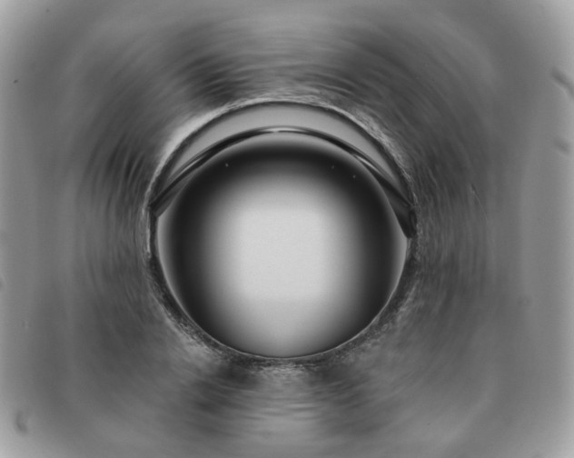 X0000091310838200708171414