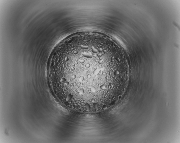 X0000091310839200708171414