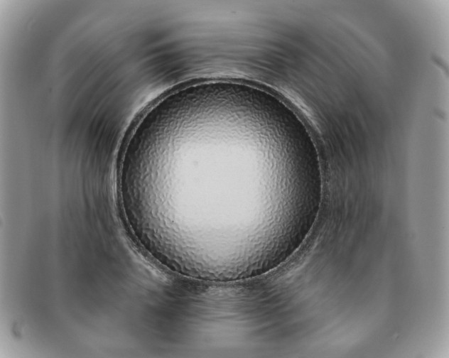 X0000091310840200708171414