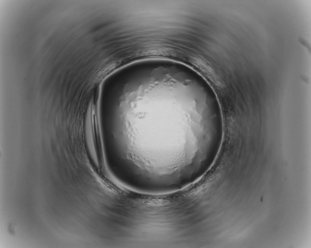 X0000091310841200708171414