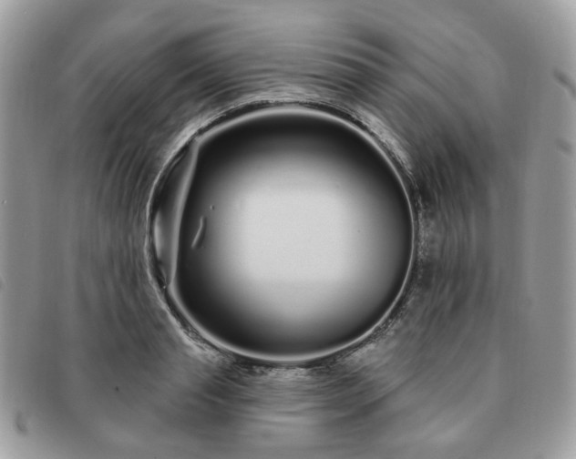 X0000091310845200708171414