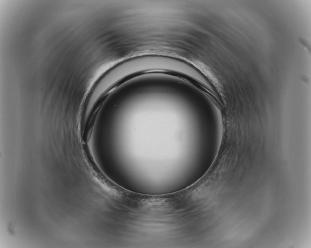 X0000091310846200708171414