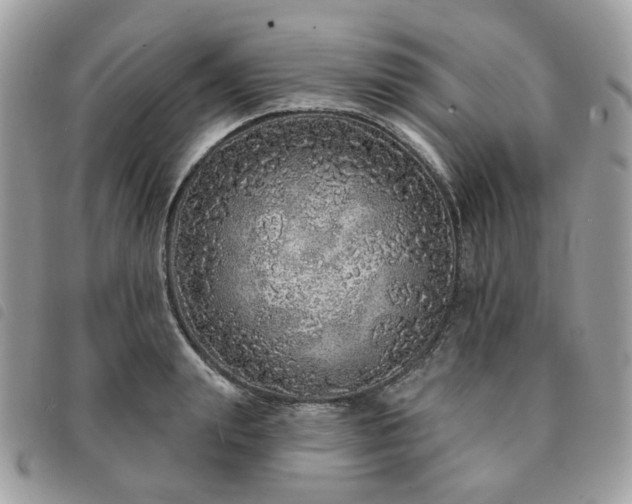 X0000091310847200708171414