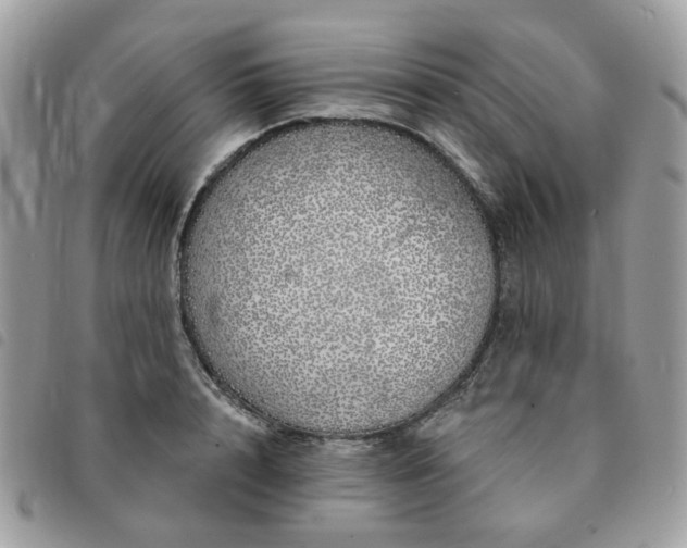 X0000091310848200708171414