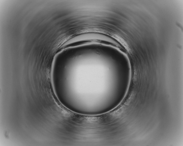 X0000091310849200708171414