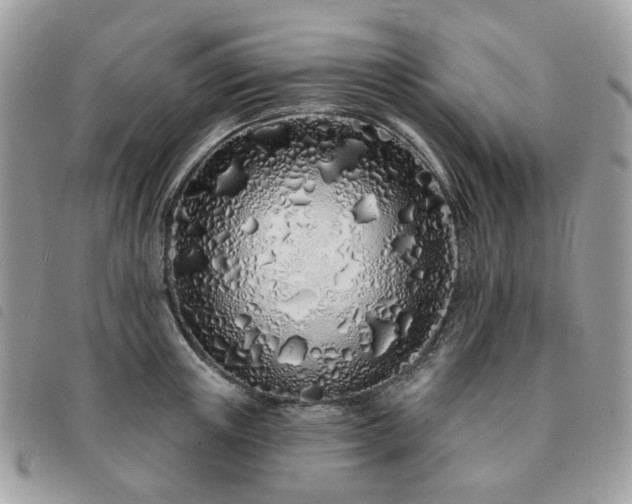 X0000091310851200708171414