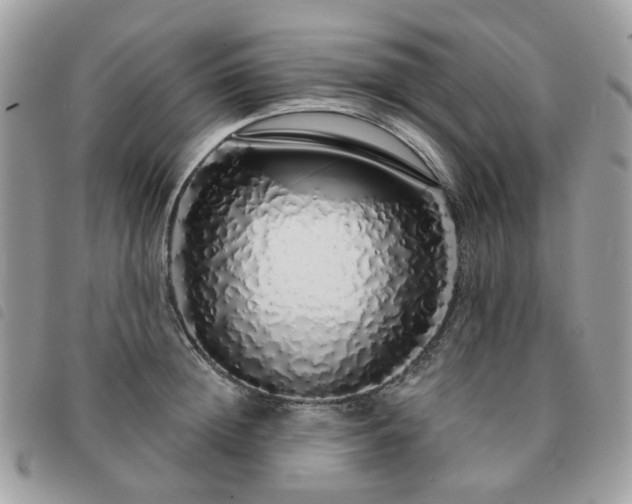 X0000091310852200708171414