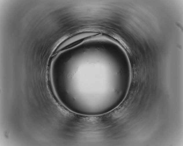 X0000091310853200708171414