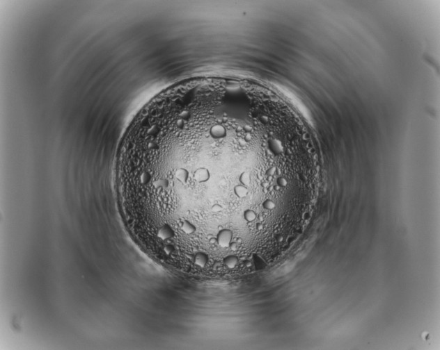 X0000091310855200708171414