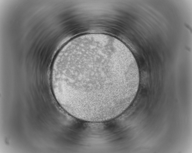 X0000091310856200708171414