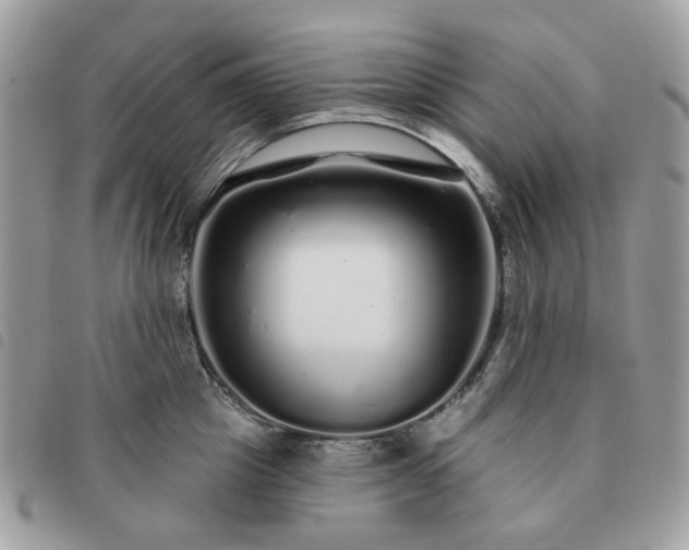 X0000091310857200708171414