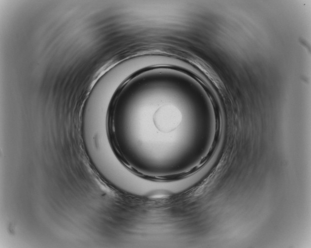 X0000091310858200708171414