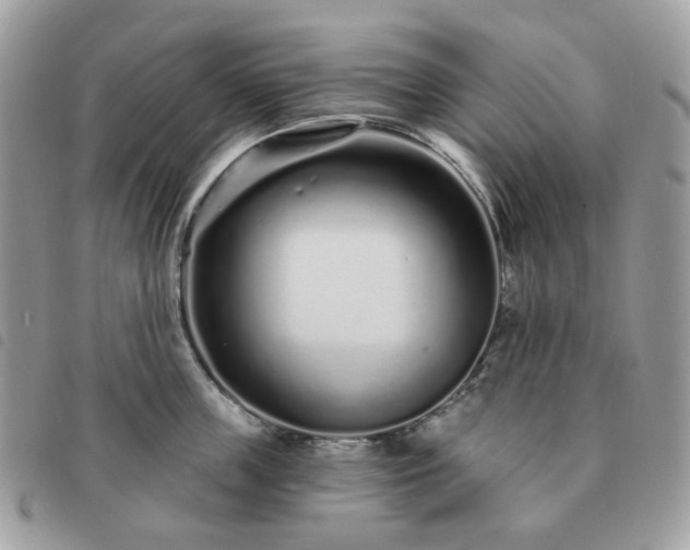 X0000091310859200708171414