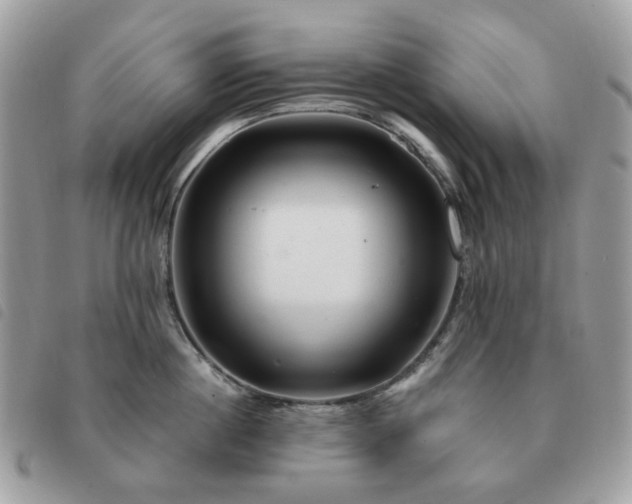 X0000091310860200708171414