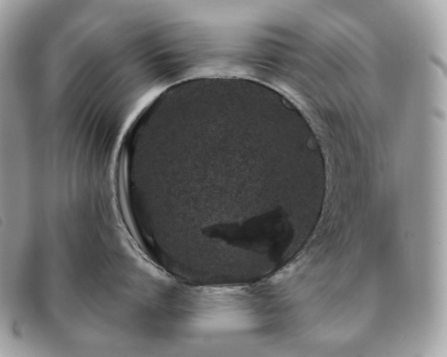 X0000091310864200708171414