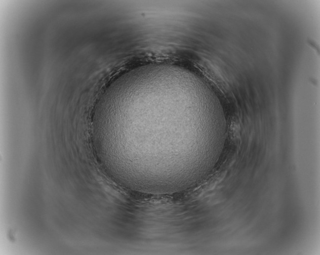 X0000091310865200708171413