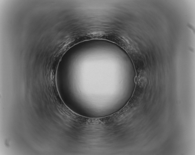 X0000091310866200708171413