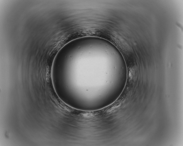 X0000091310867200708171413