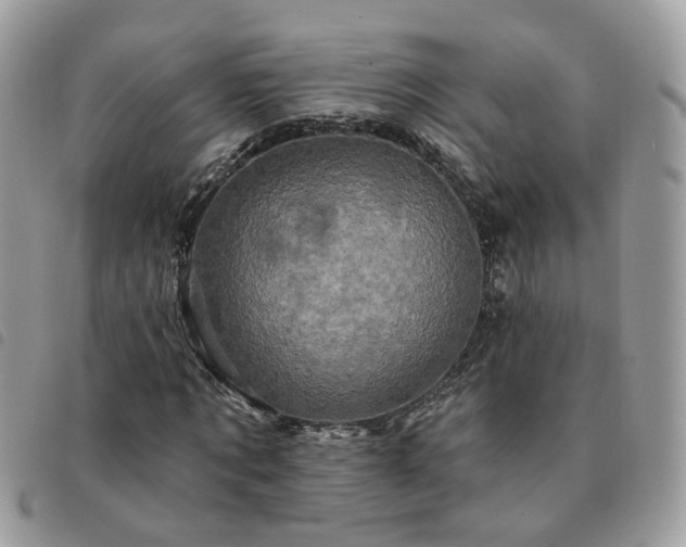 X0000091310869200708171413