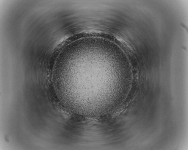 X0000091310870200708171413