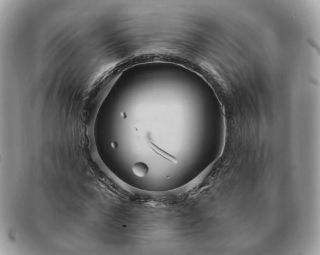 X0000091310872200708171413