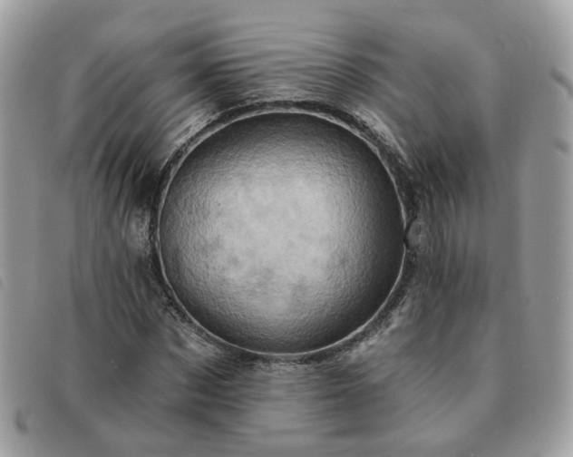 X0000091310873200708171413