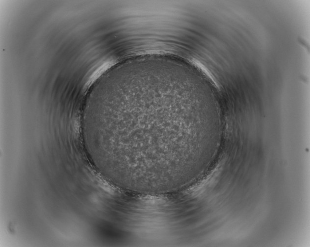 X0000091310874200708171413