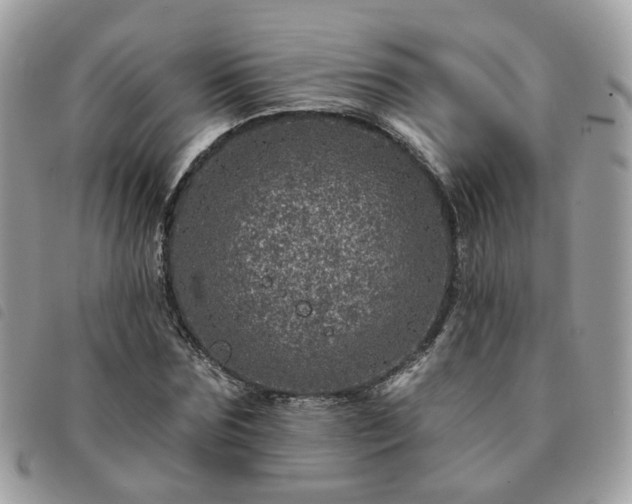 X0000091310875200708171413