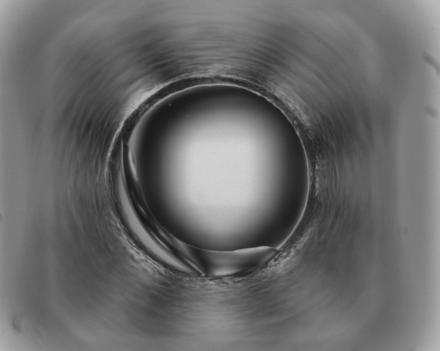 X0000091310876200708171413