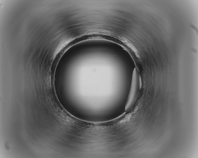 X0000091310877200708171413