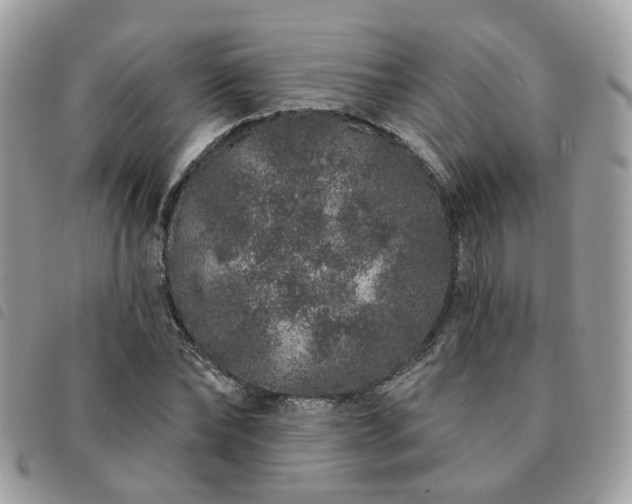 X0000091310878200708171413