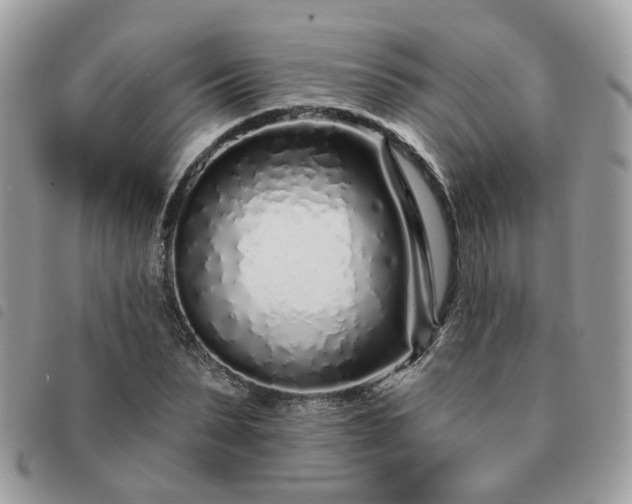 X0000091310879200708171413