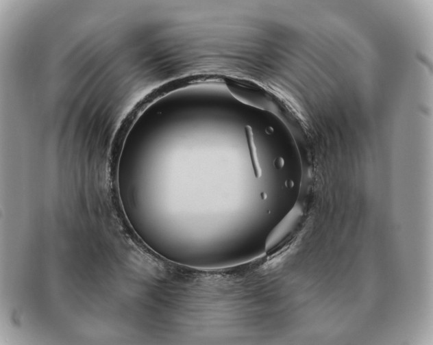 X0000091310880200708171413