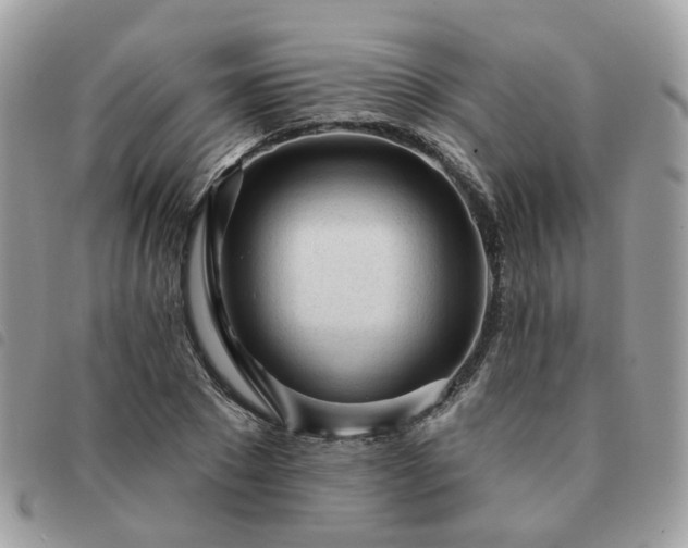 X0000091310881200708171413