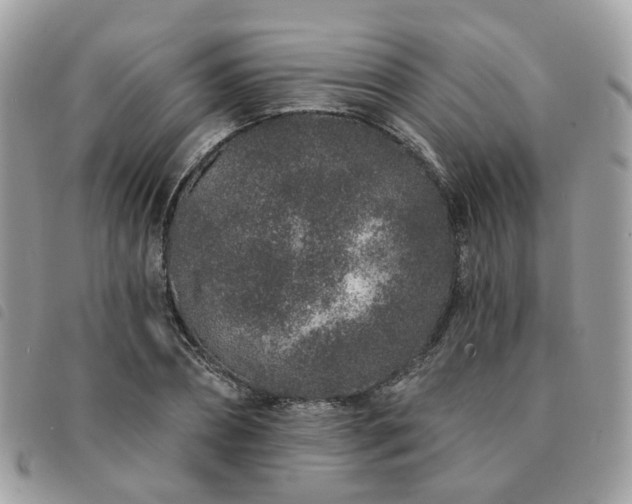 X0000091310882200708171413