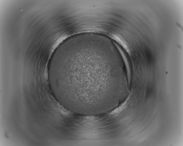 X0000091310883200708171413