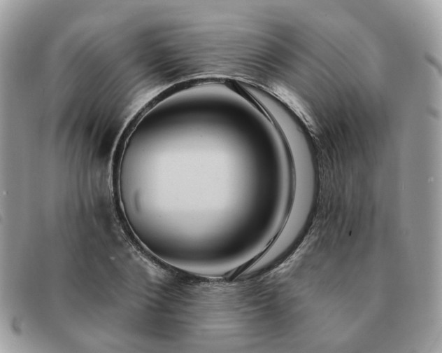 X0000091310884200708171413