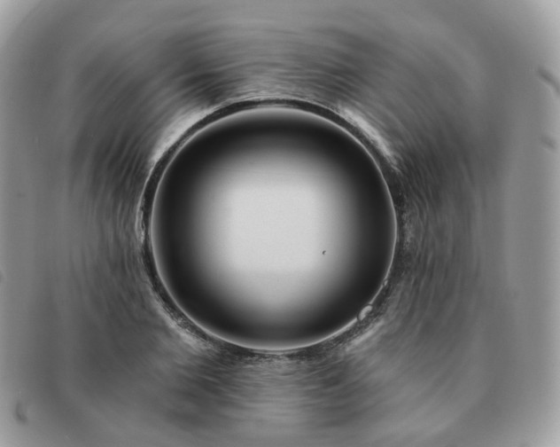 X0000091310885200708171413