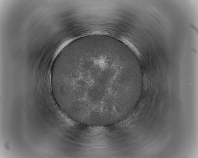 X0000091310886200708171413