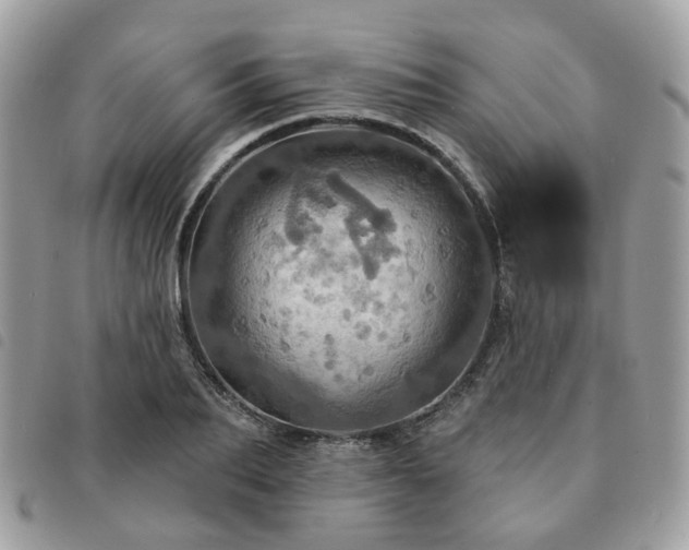 X0000091310887200708171413