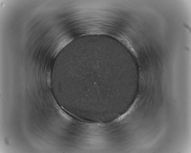 X0000091310889200708171413