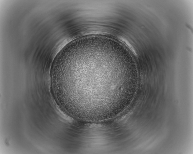 X0000091310890200708171413