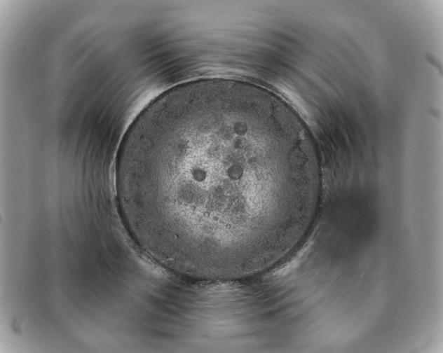 X0000091310891200708171413