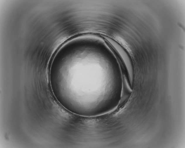 X0000091310892200708171413