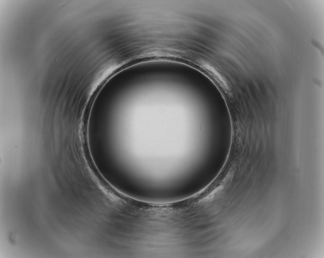 X0000091310893200708171413