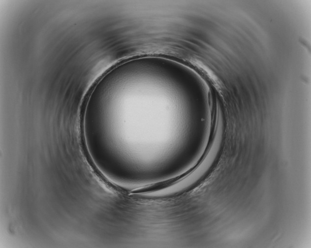 X0000091310894200708171413