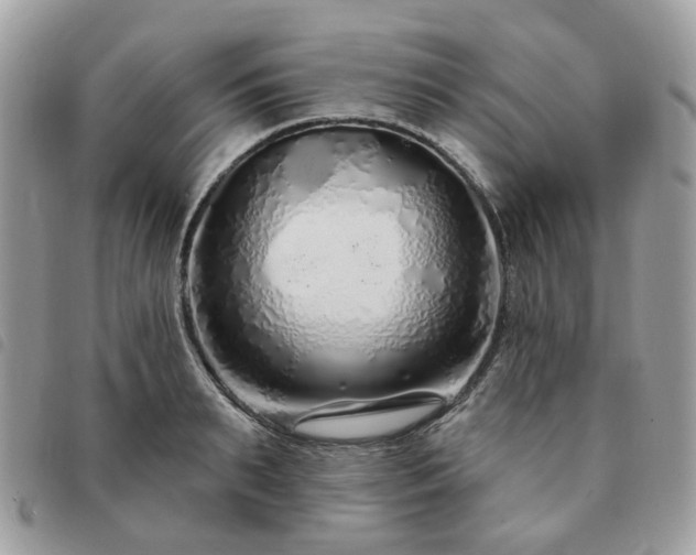 X0000091310895200708171413